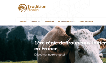 TRADITION BOVIN