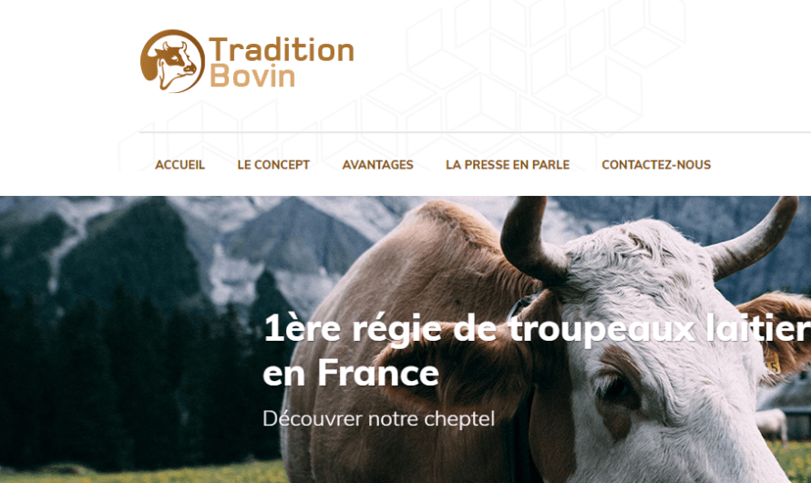 TRADITION BOVIN