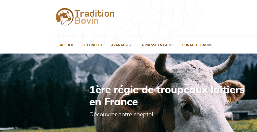 TRADITION BOVIN