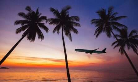 Travel