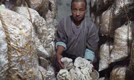 Tshering wangchuk (mushroom farm)