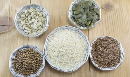 Yummy Seeds