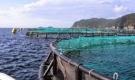 Zainal Aquaculture